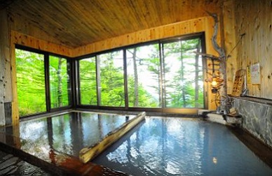 お一人様のんびりプラン(JRバスの方は500円引き)