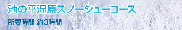 池の平湿原スノーシューコース