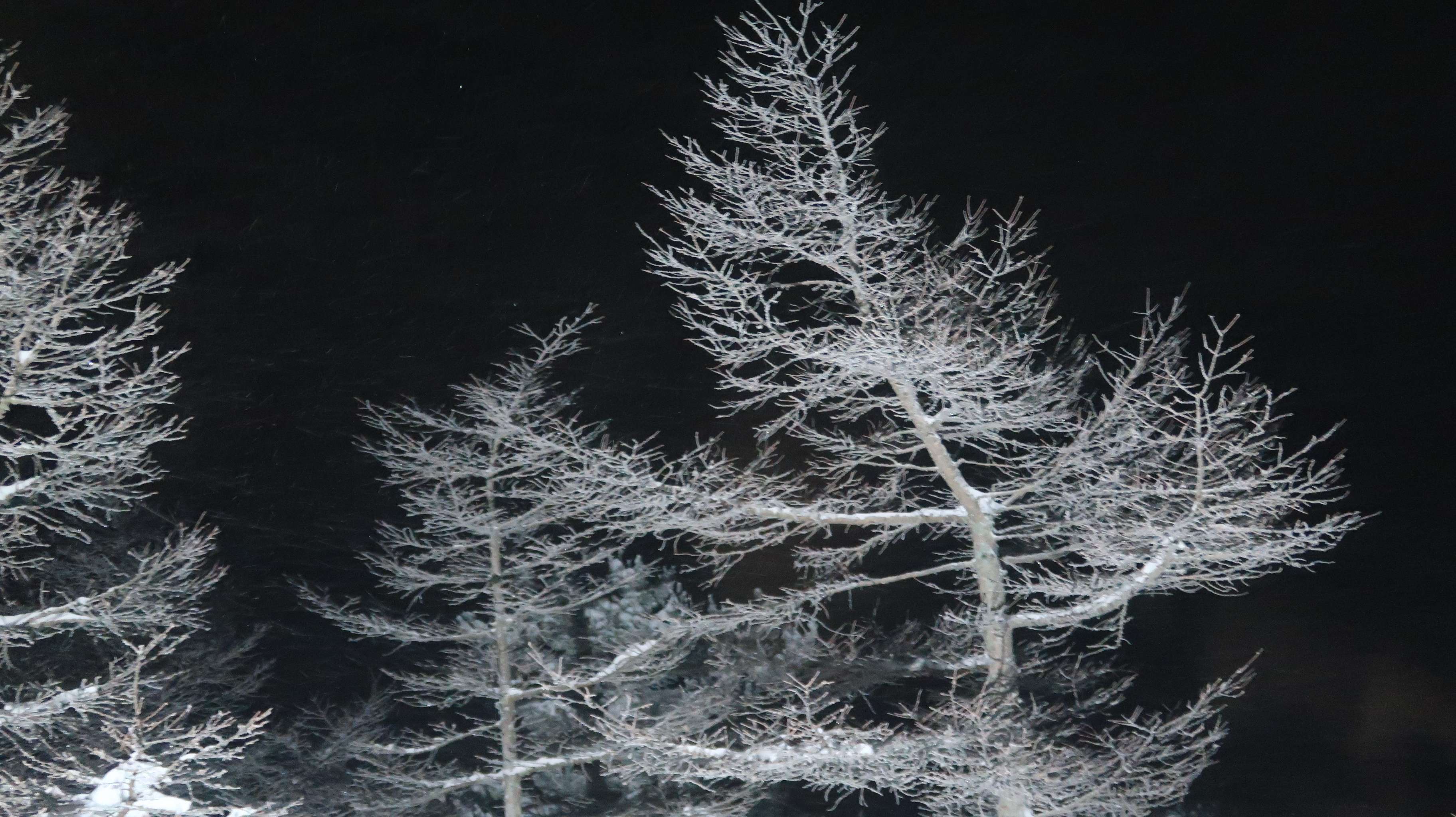 雪の夜 高峰温泉