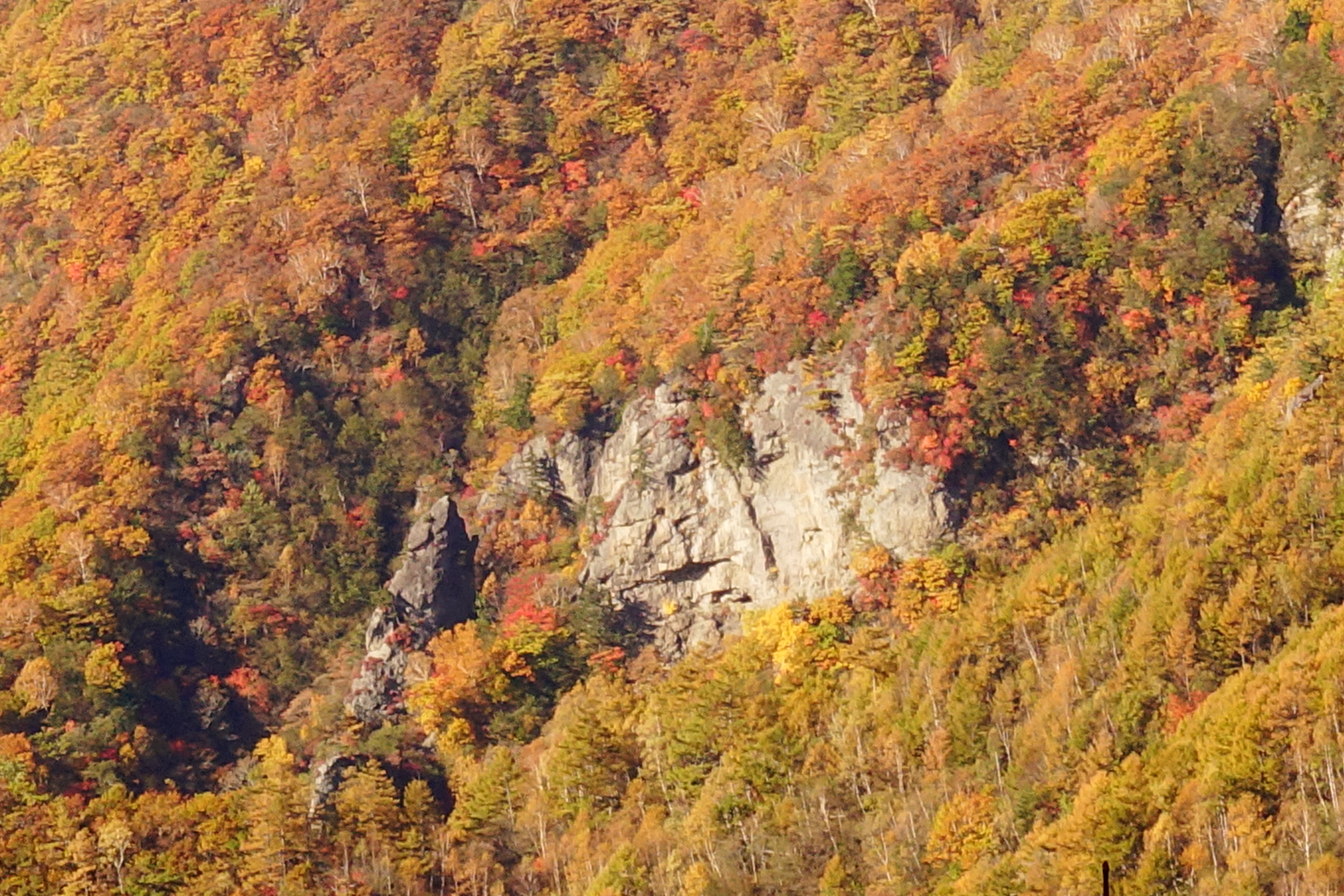 高峯渓谷紅葉　野天保存 003