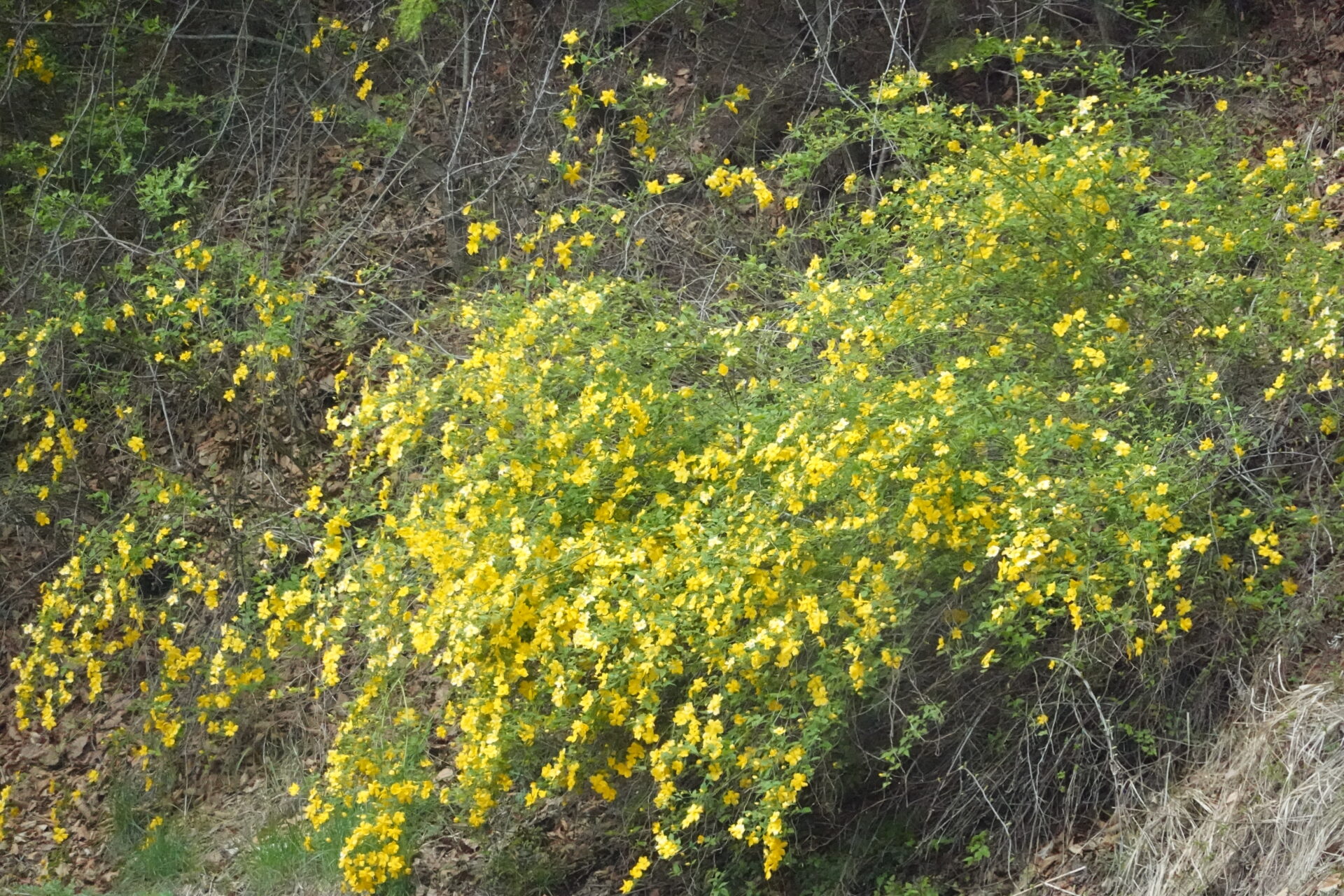 DSC05640
