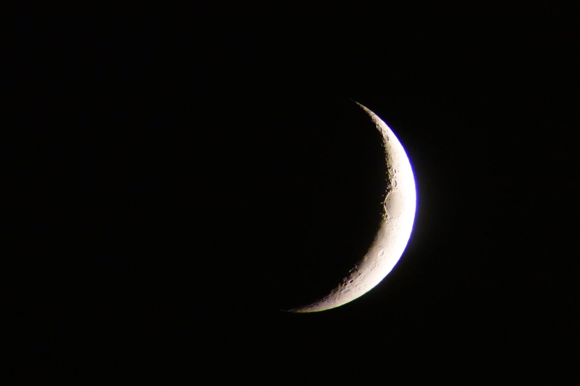 DSC06221