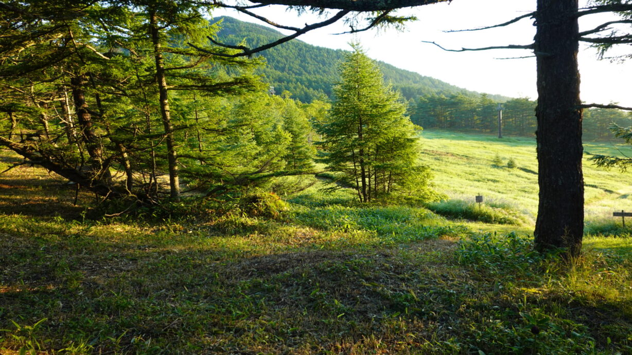 ランプの宿　高峰温泉　朝日