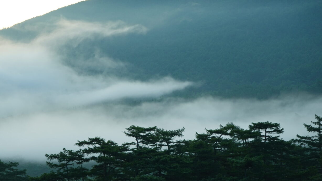ランプの宿高峰温泉　朝霧