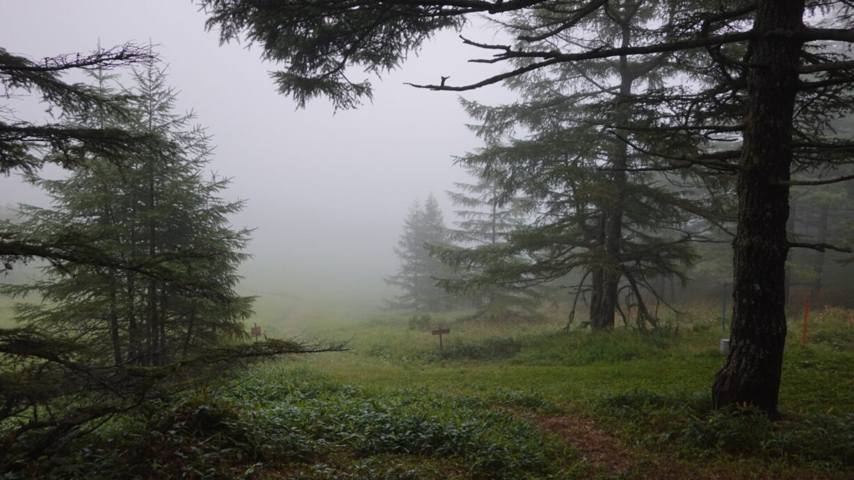 ランプの宿　高峰温泉　霧