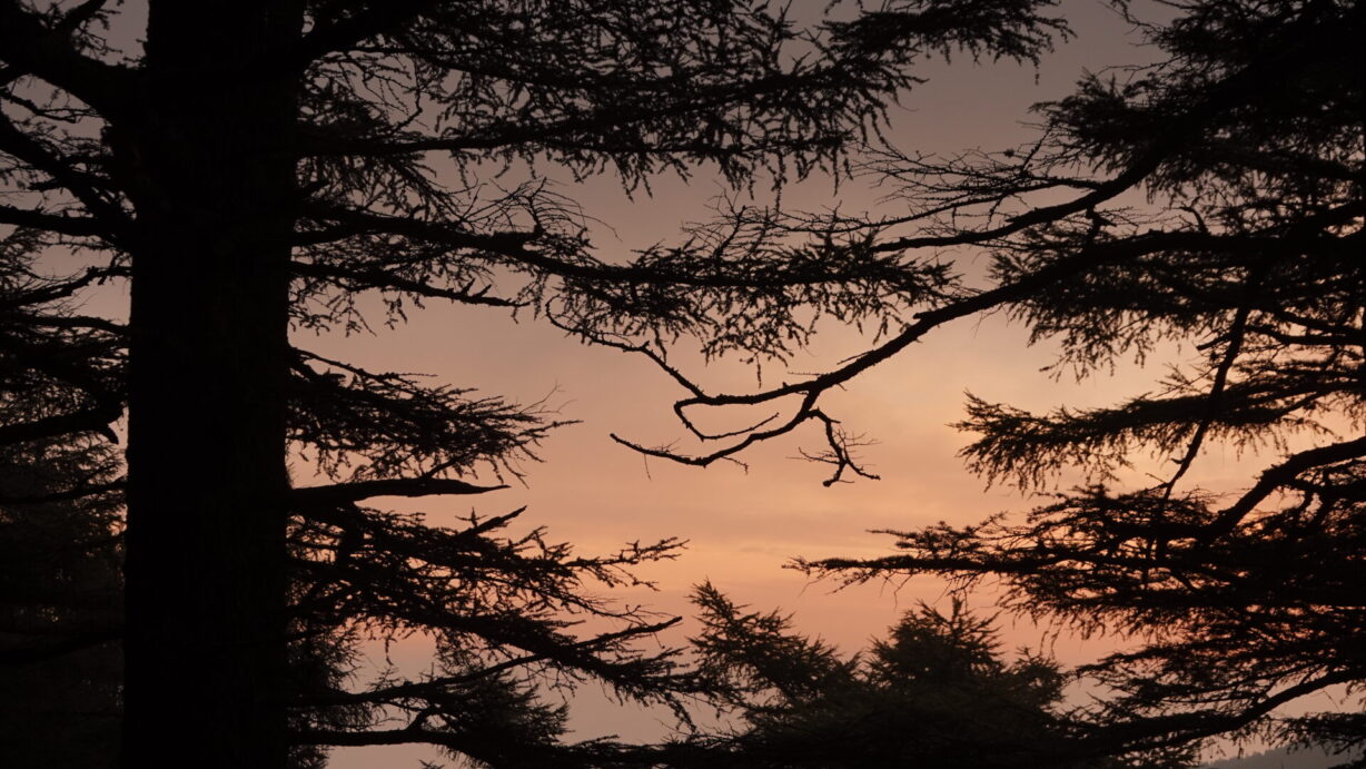 ランプの宿　高峰温泉　朝霧