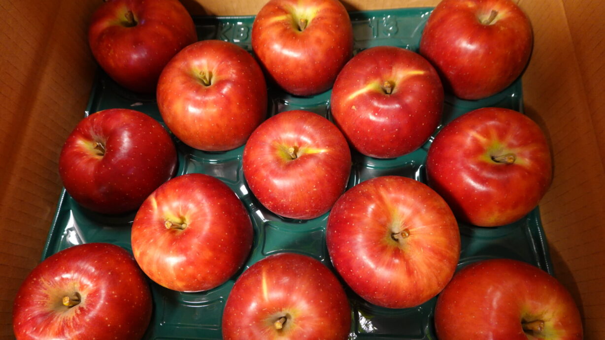 ランプの宿　高峰温泉　秋の味覚