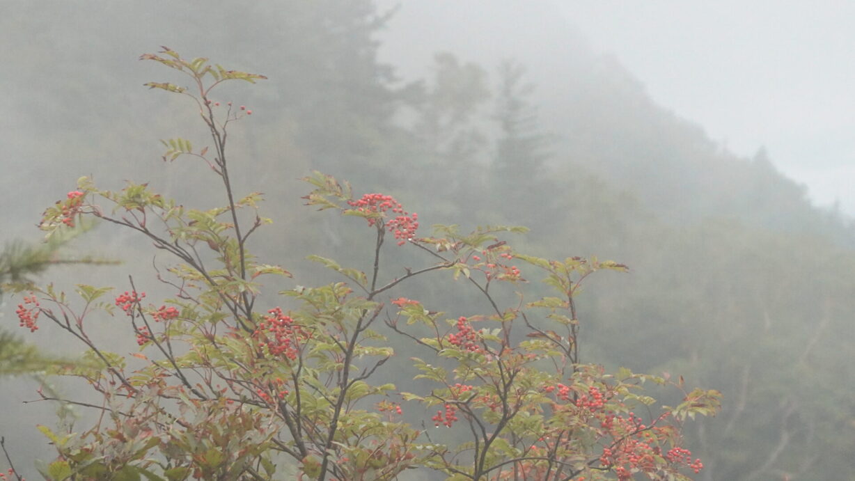 ランプの宿　高峰温泉　　秋の深まり