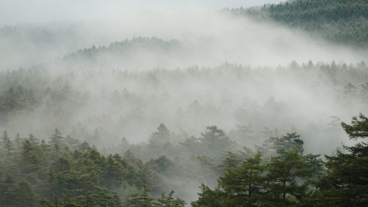 ランプの宿　高峰温泉　朝霧
