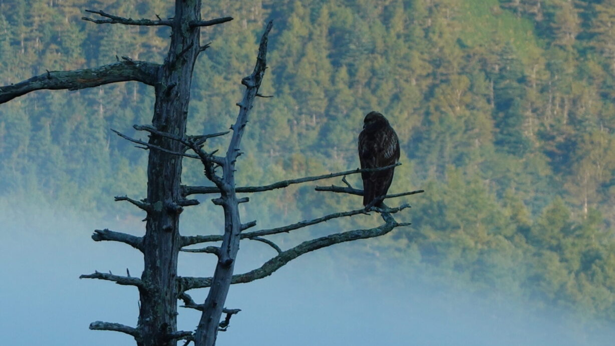 ランプの宿　　高峰温泉　　夜明け