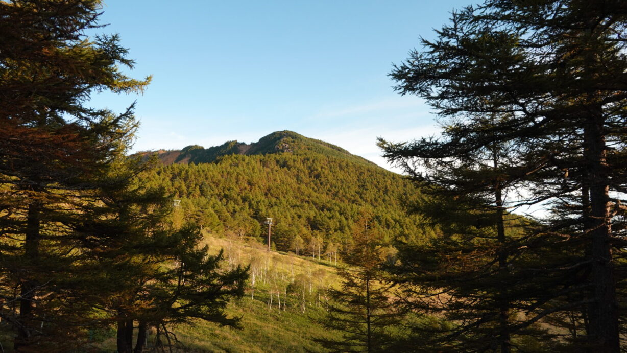 オータムフェスタin高峰高原