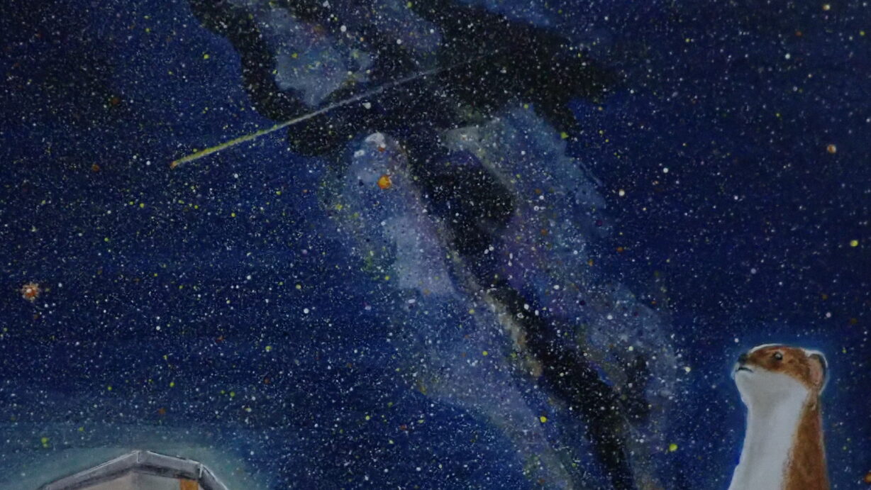 ランプの宿　高峰温泉　オコジョ