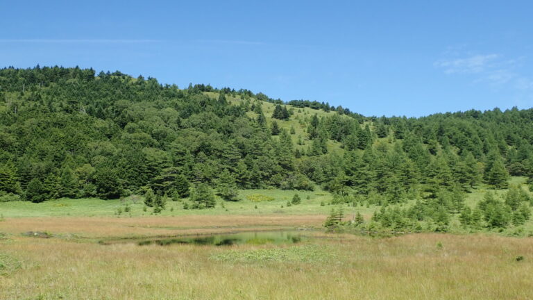 ランプの宿　高峰温泉　　オコジョ