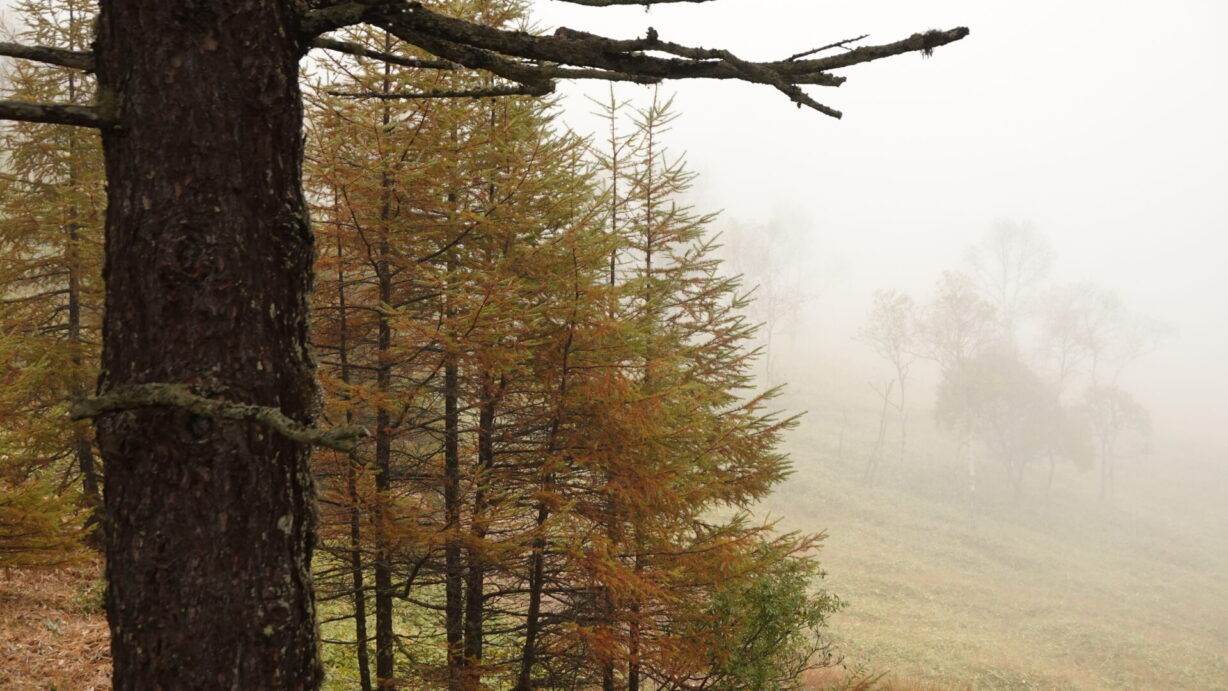 ランプの宿　高峰温泉　朝霧
