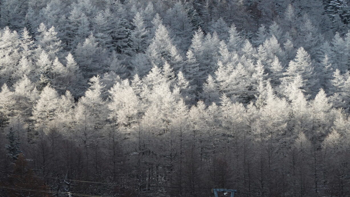 ランプの宿　高峰温泉　快晴の朝