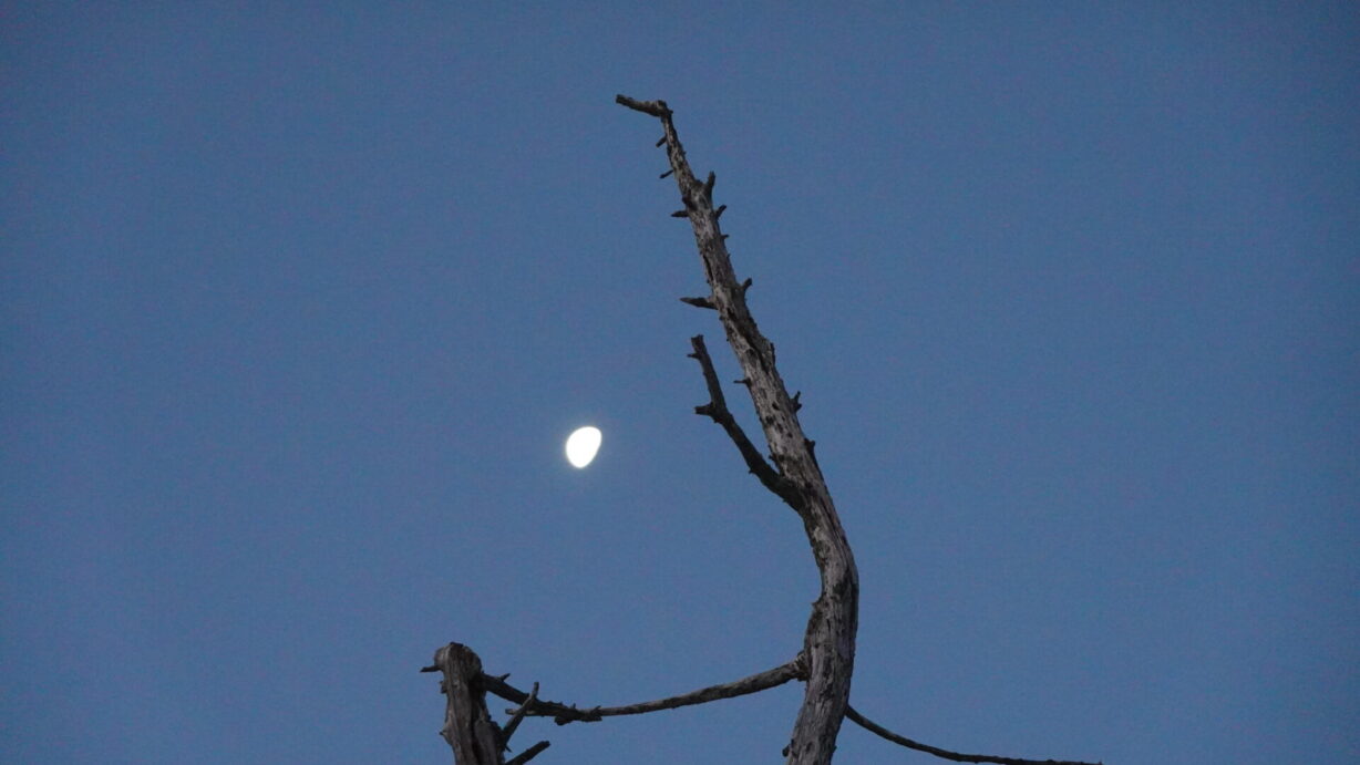 ランプの宿　高峰温泉　　残照の月