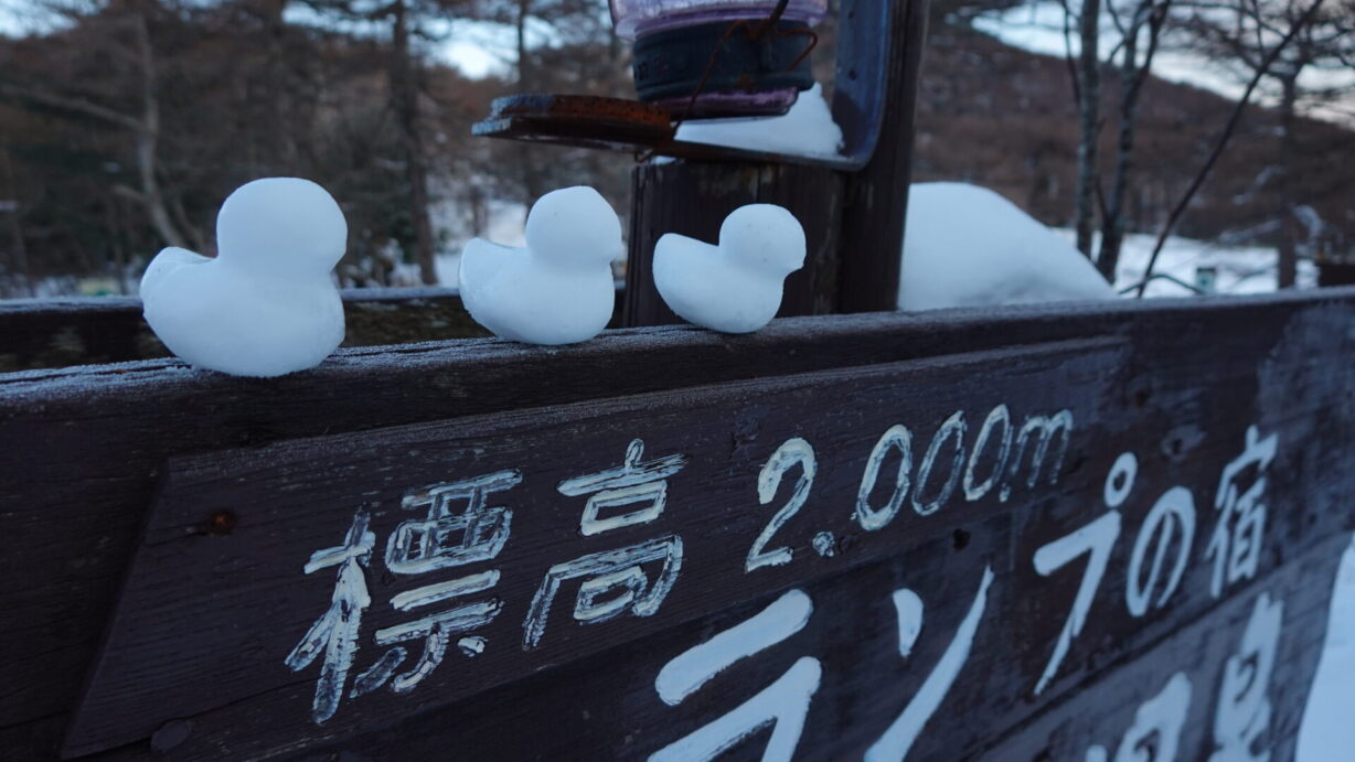 ランプの宿　高峰温泉　雪アヒル