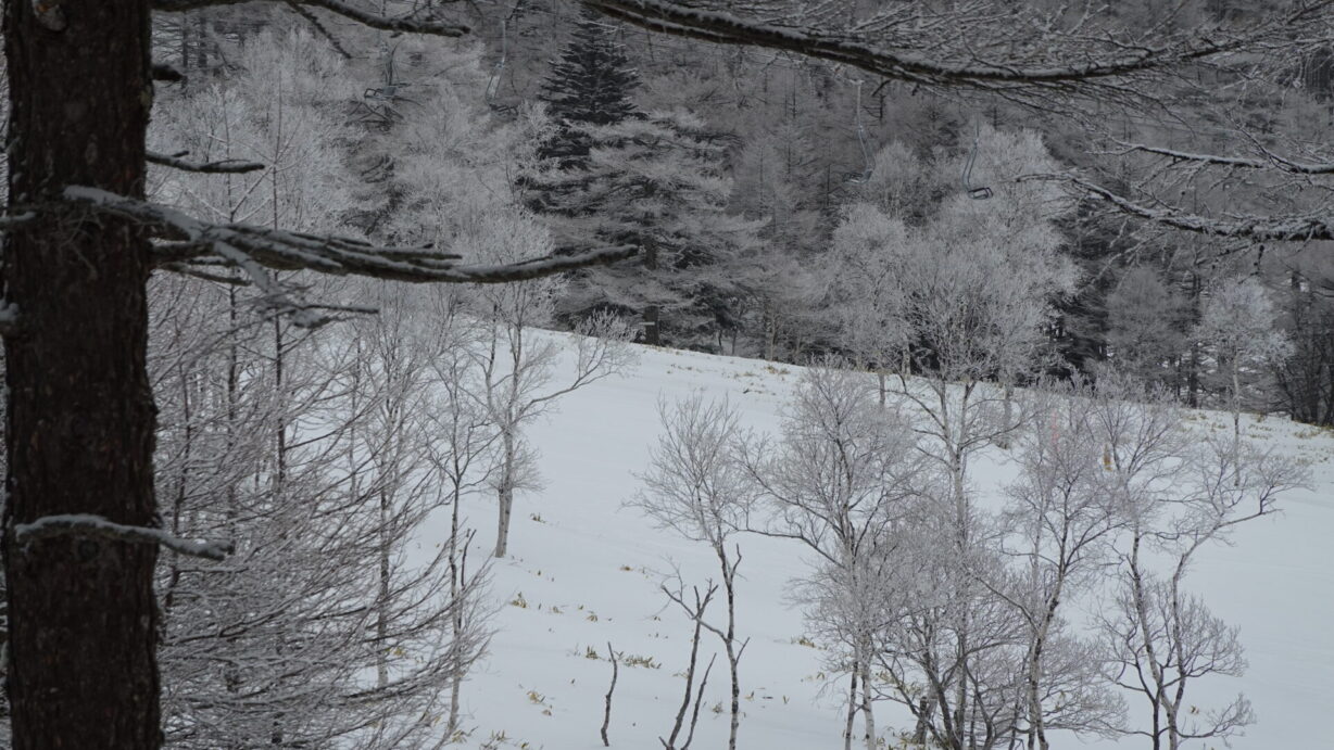 ランプの宿　高峰温泉　霧氷の朝