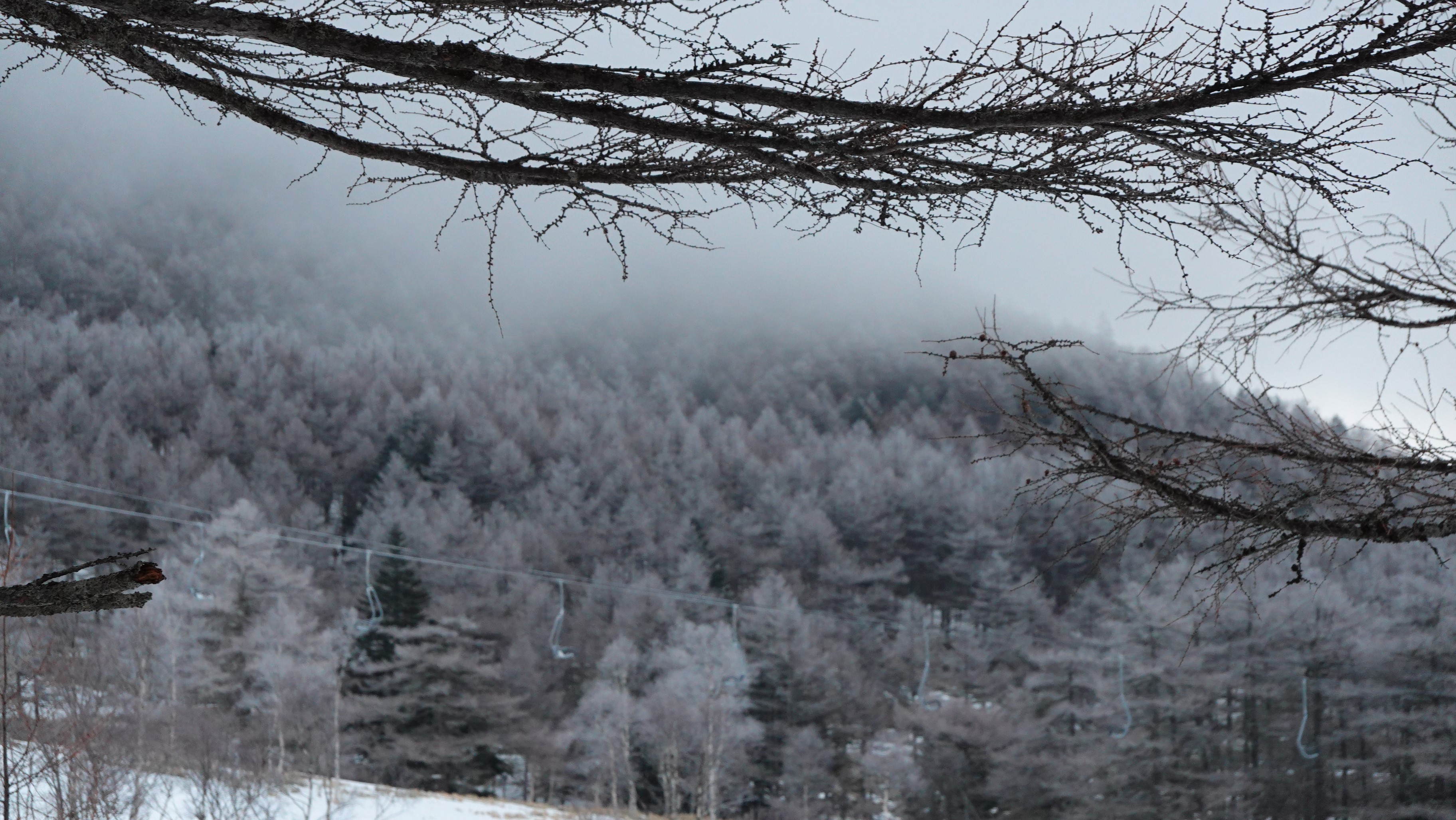 高峰温泉情報高峰温泉情報